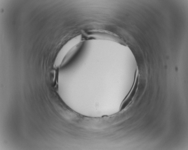 X0000064730045200603131304