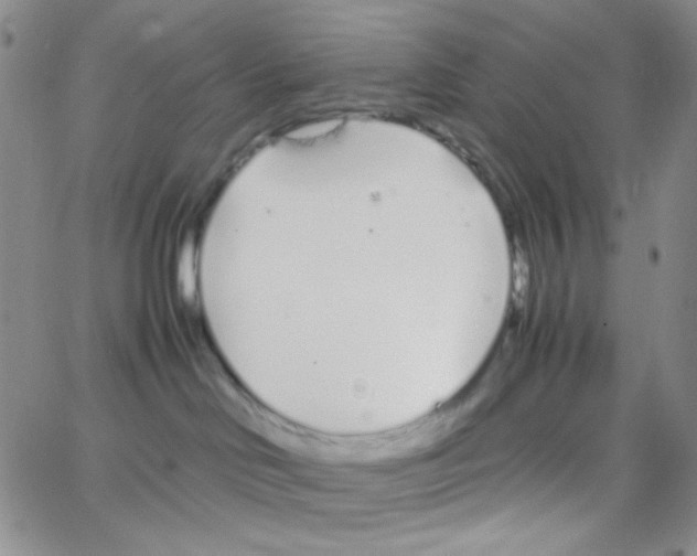 X0000064730046200603131304