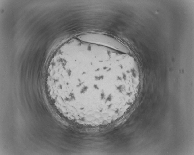 X0000064730049200603131303