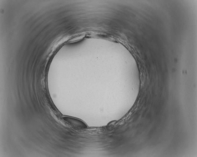 X0000064730050200603131303