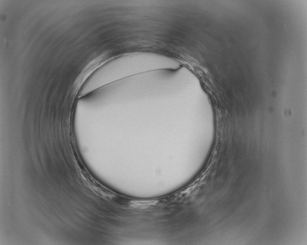 X0000064730051200603131303