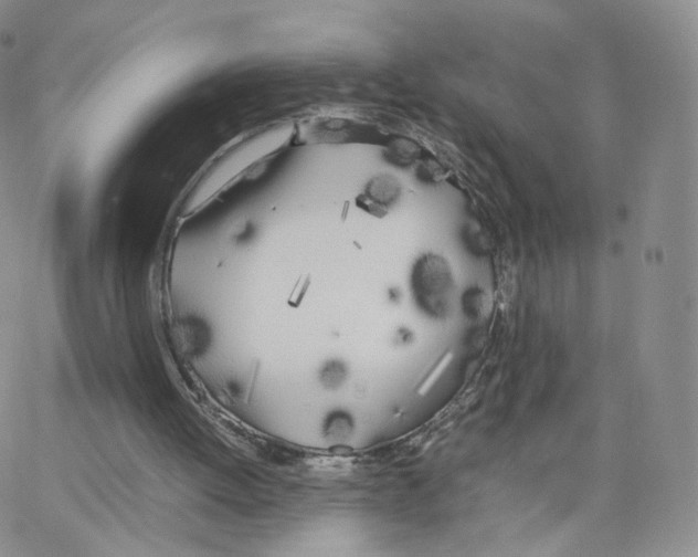 X0000064730052200603131303