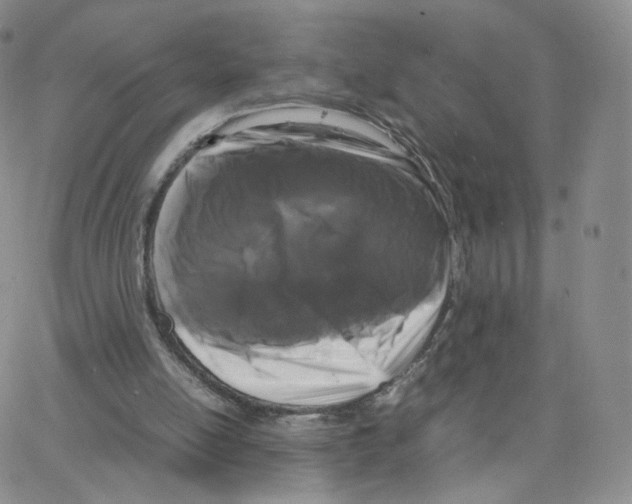 X0000064730054200603131303