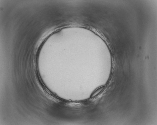 X0000064730055200603131303