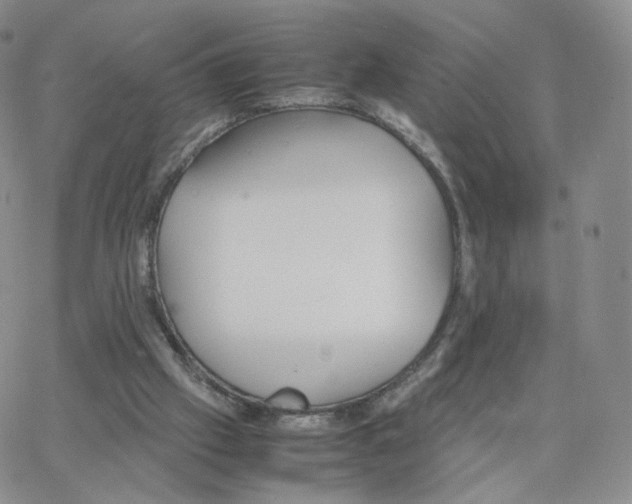 X0000064730057200603131303