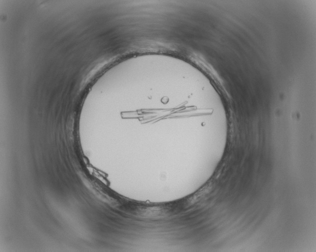 X0000064730058200603131303