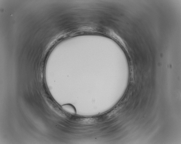 X0000064730059200603131303