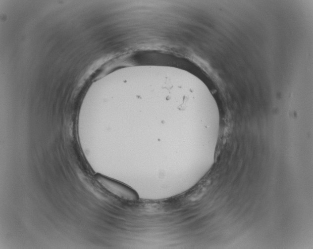 X0000064730060200603131303