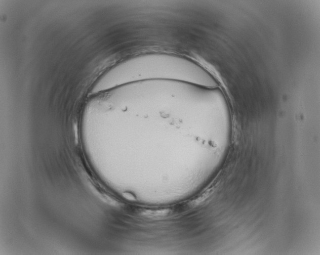 X0000064730061200603131303