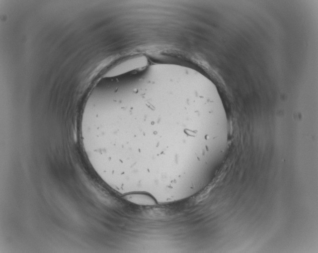 X0000064730062200603131303