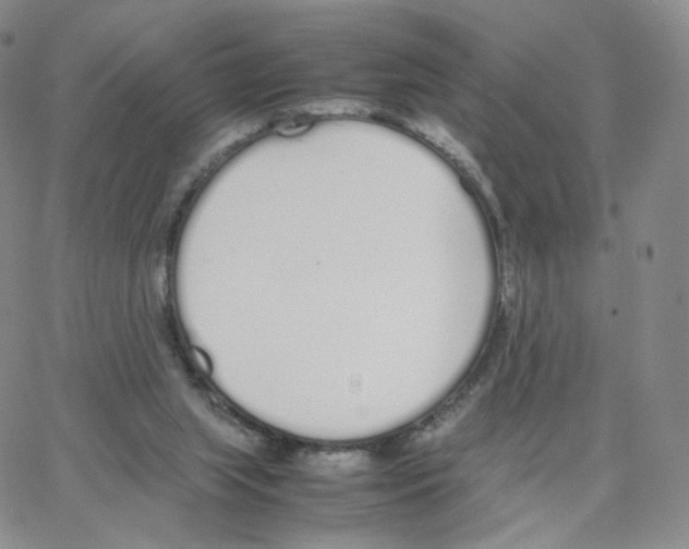 X0000064730063200603131303