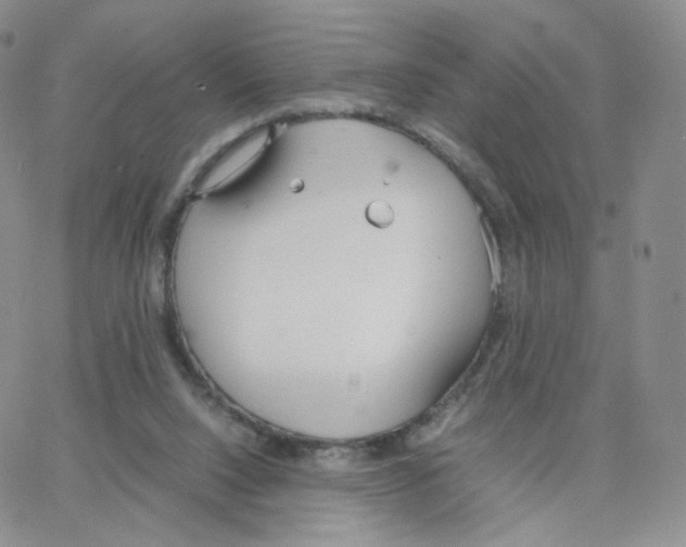 X0000064730064200603131303