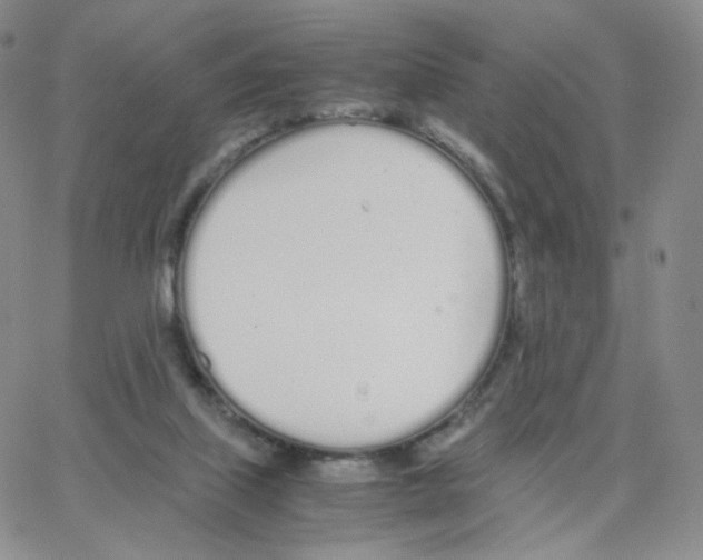 X0000064730067200603131304