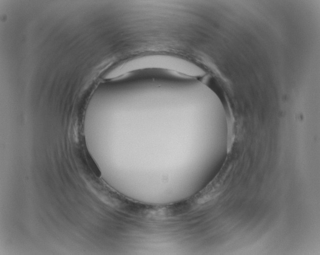 X0000064730068200603131304