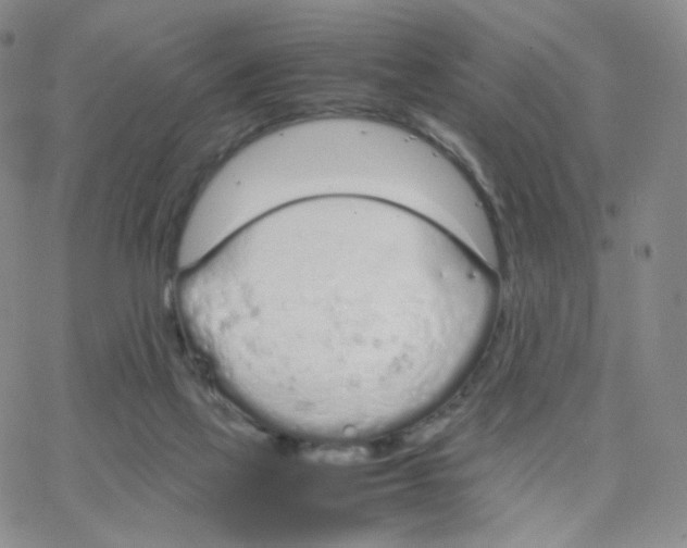 X0000064730069200603131304