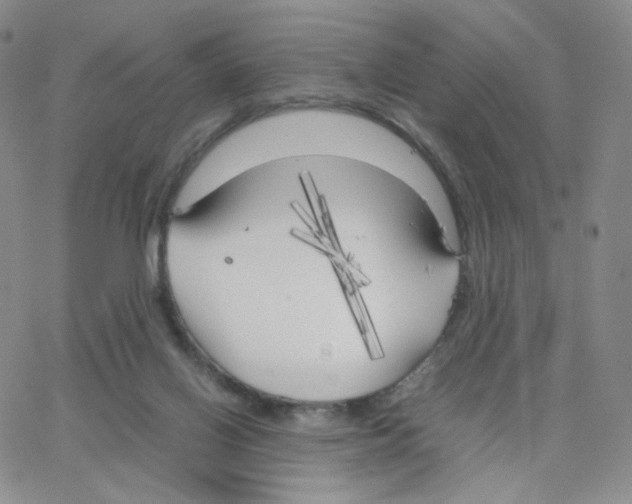 X0000064730070200603131304