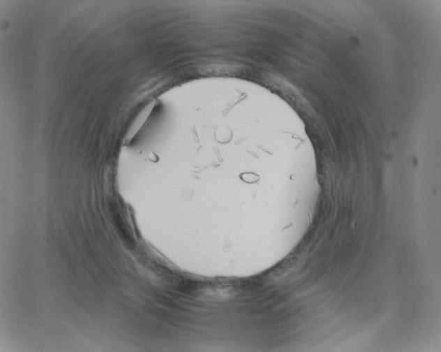 X0000064730071200603131304