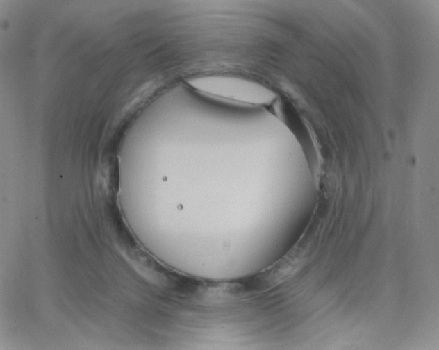 X0000064730072200603131304