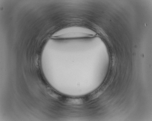 X0000064730073200603131304