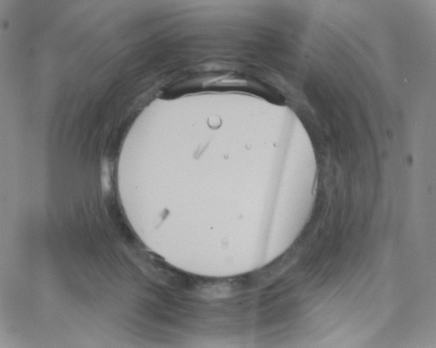 X0000064730075200603131304