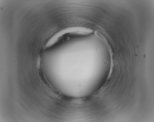 X0000064730076200603131304