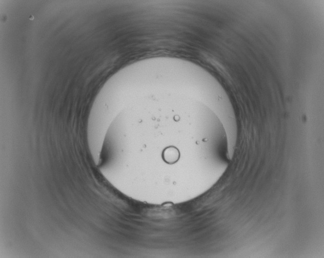 X0000064730077200603131304