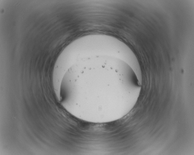 X0000064730078200603131304