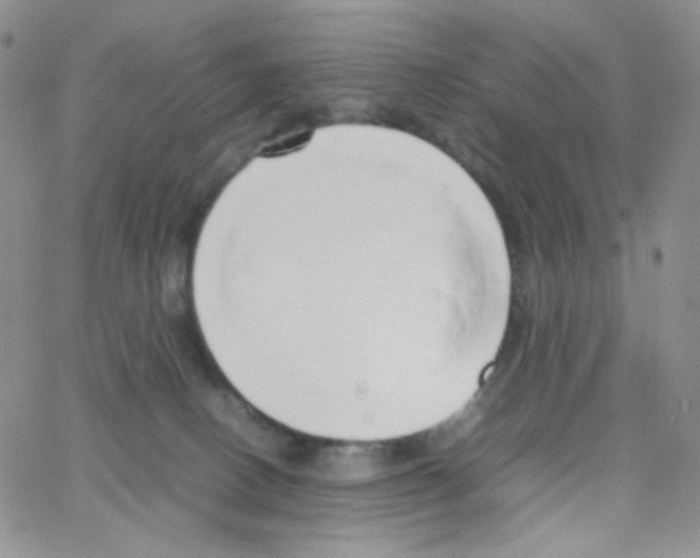 X0000064730082200603131304