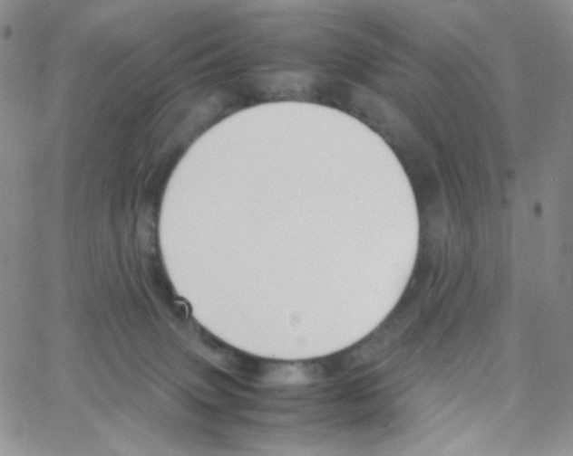 X0000064730083200603131304