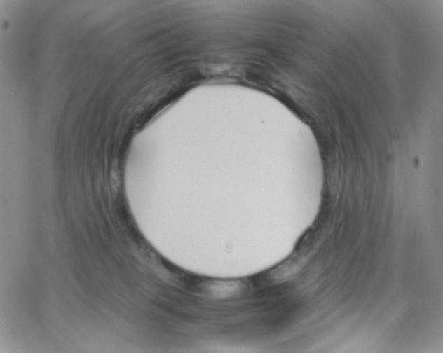 X0000064730085200603131304