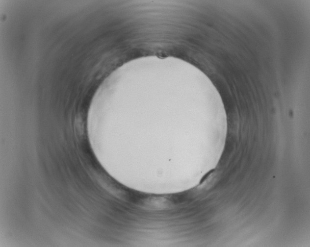 X0000064730086200603131304