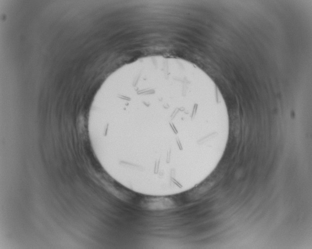 X0000064730087200603131304