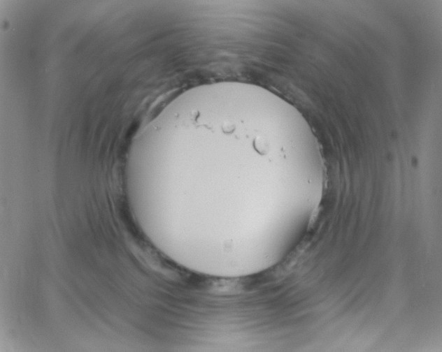 X0000064730088200603131304