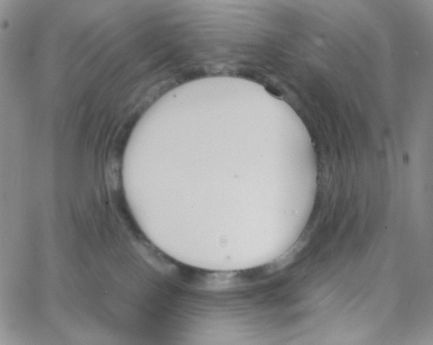 X0000064730090200603131304