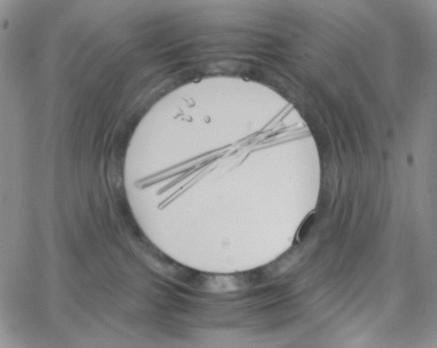 X0000064730091200603131304