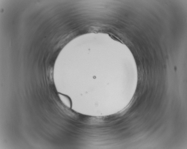 X0000064730094200603131304