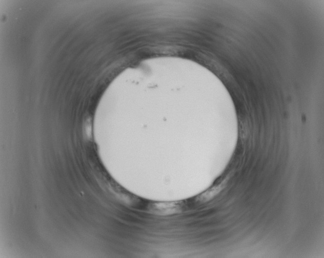 X0000064730095200603131304