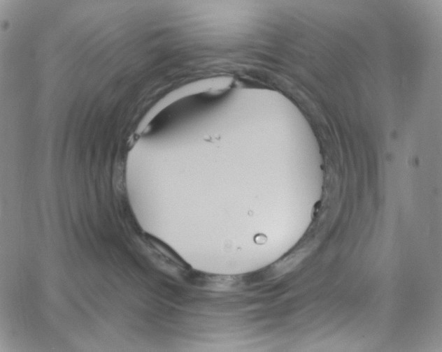 X0000064730096200603131304