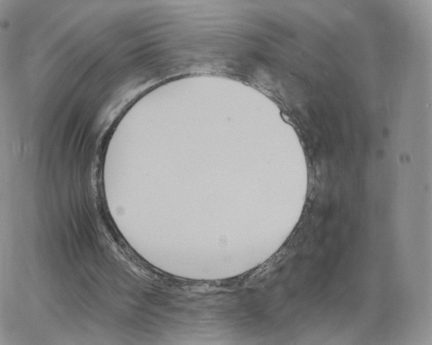 X0000064730098200603131303