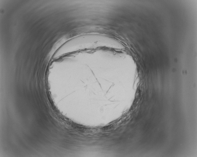 X0000064730099200603131303