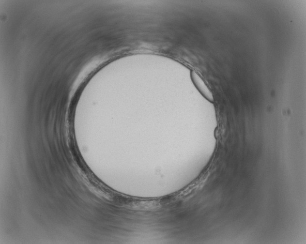 X0000064730102200603131303