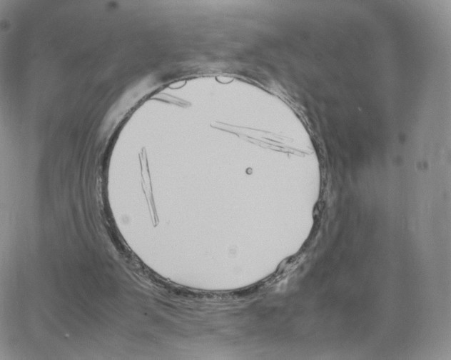 X0000064730103200603131303