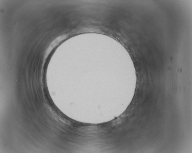 X0000064730104200603131303