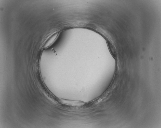 X0000064730105200603131303