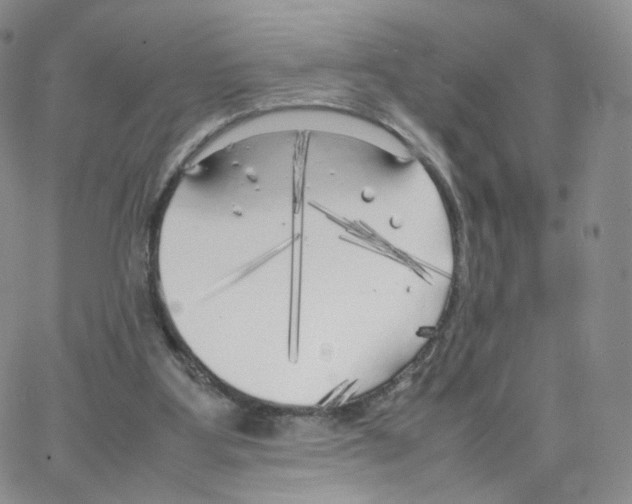 X0000064730107200603131303