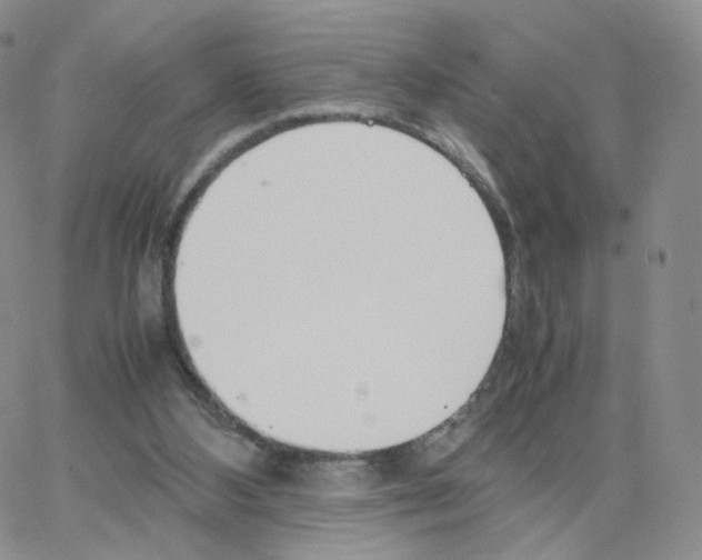 X0000064730108200603131303