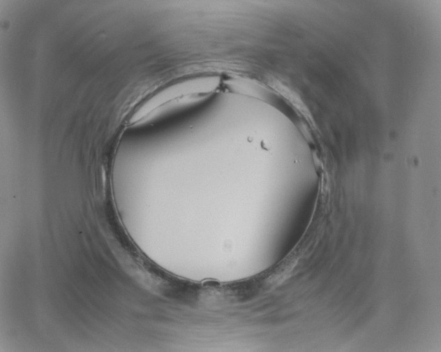 X0000064730109200603131303