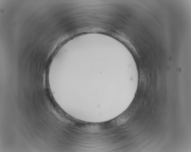 X0000064730110200603131303