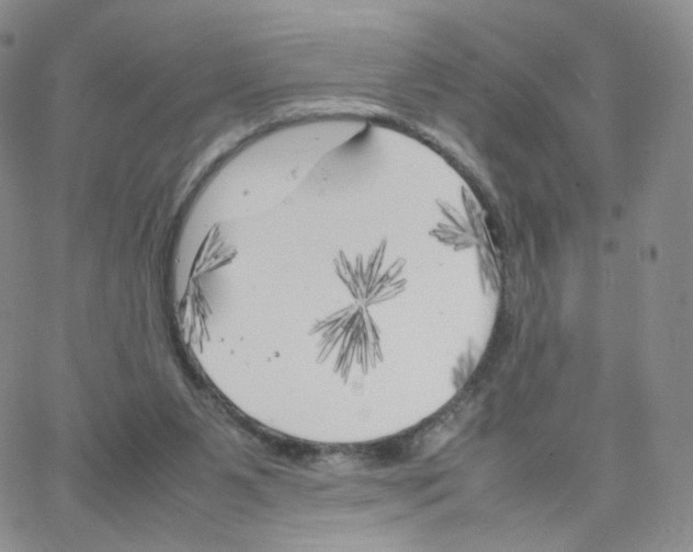 X0000064730111200603131303