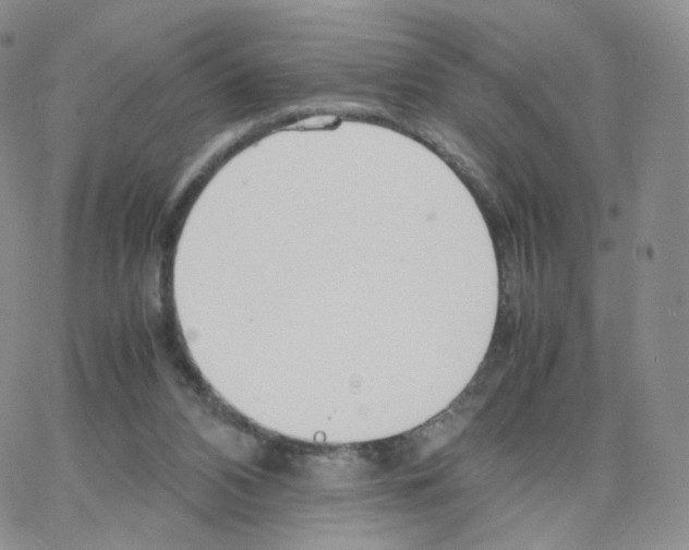 X0000064730112200603131303